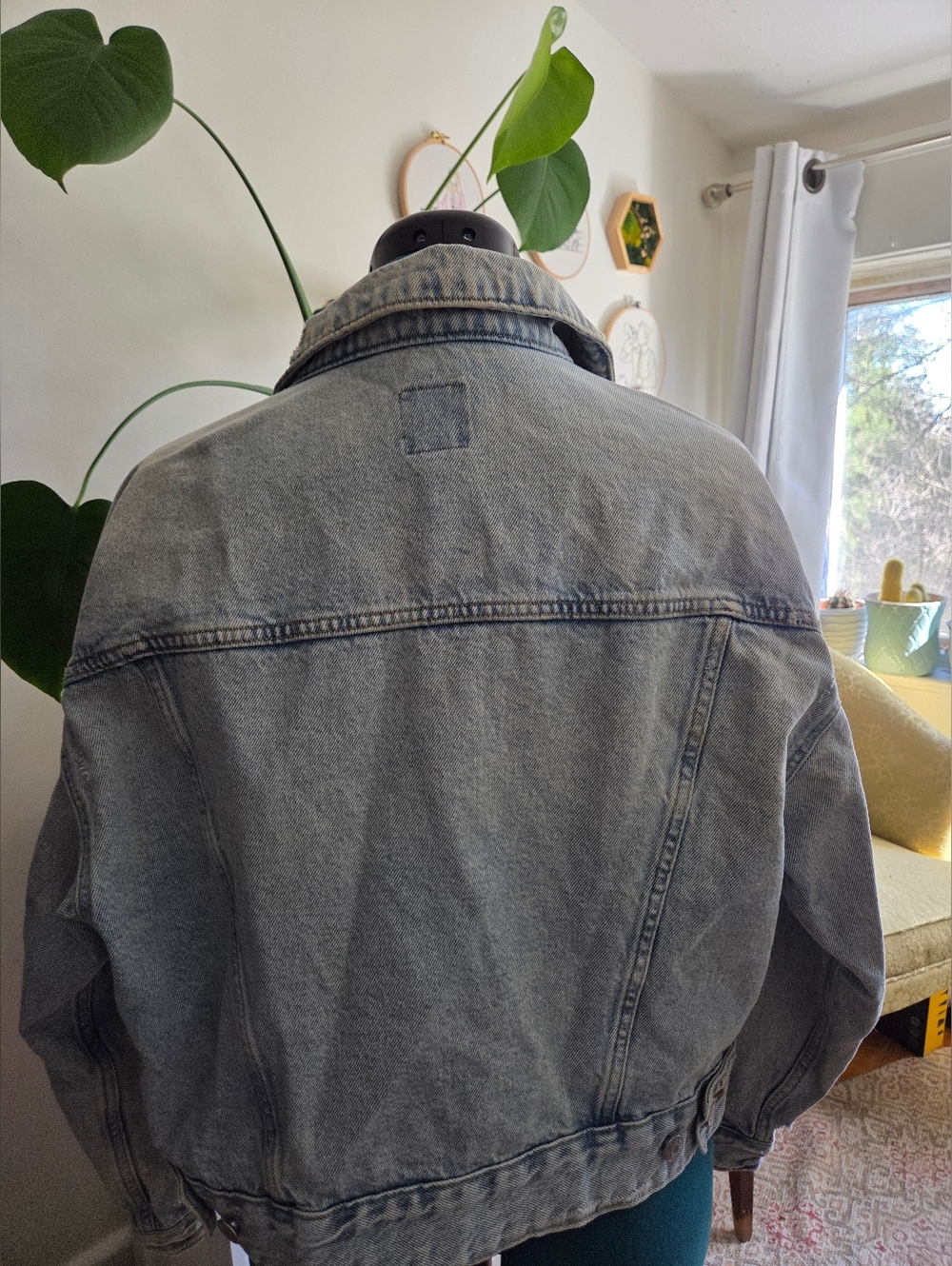 Denim Jacket - Picture 4 of 6